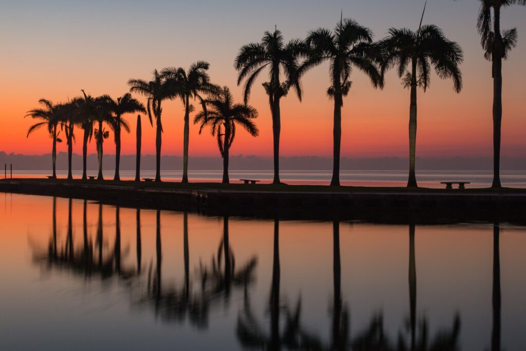Tall palm trees line a waterfront pathway at sunset in St. Cloud, Florida, their reflections shimmering in the still water beneath an orange sky—a picturesque scene that showcases why it's a great place to live.